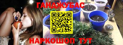 PSILOCYBIN Бугуруслан