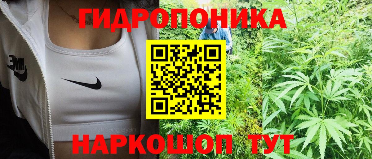Марихуана Ganja  Каннабис тримм  Коркино  Вход с VPN  Шишки марихуана индика 